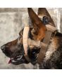 MOHOC K9 Mount